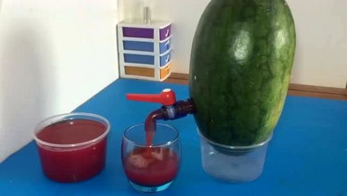 西瓜这样简单加工一下,就可以做出纯正健康的鲜榨果汁来